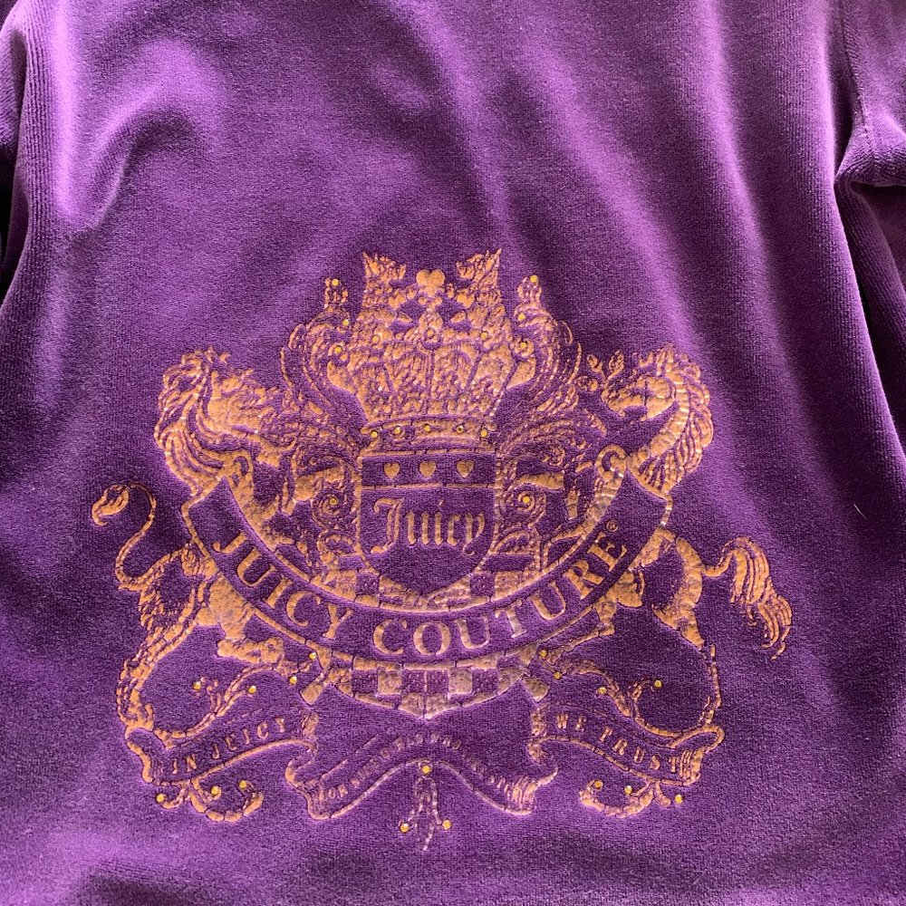 Juicy Couture Purple Velour Hoodie